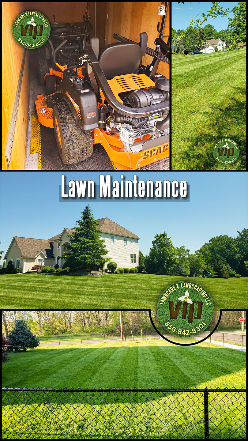 Lawn-Maintenance-service